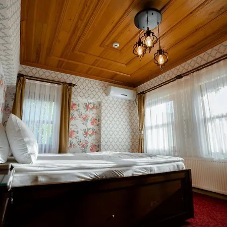 Hotel Gulliver Mansion 4*