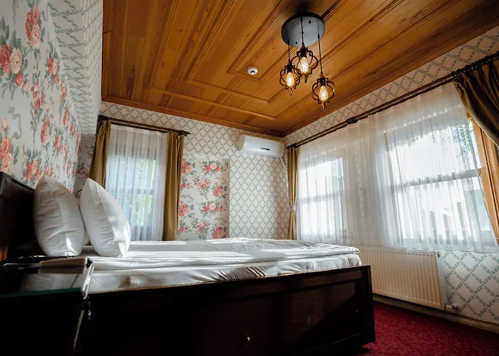 Gulliver Mansion Istanboel